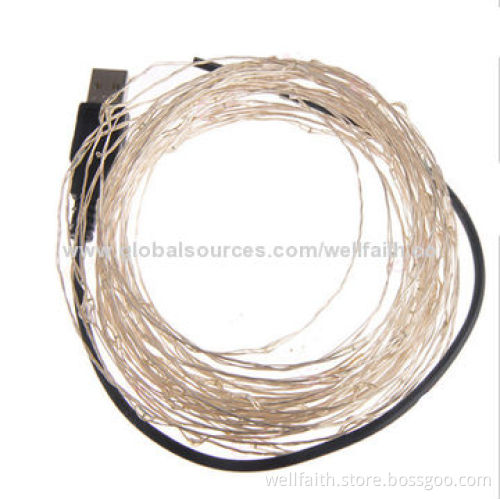 Decoration Indoor & Outdoor Party Lights with LED, CE and ROHS Marks